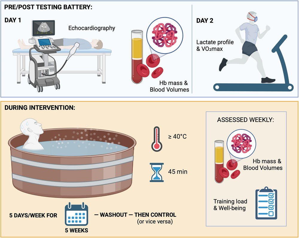 Αύξηση αιματοκρίτη, αιμοσφαιρίνης και VO₂max από το...μπάνιο σου! Νέα μελέτη «Game Changer» για όλους τους δρομείς runbeat.gr 